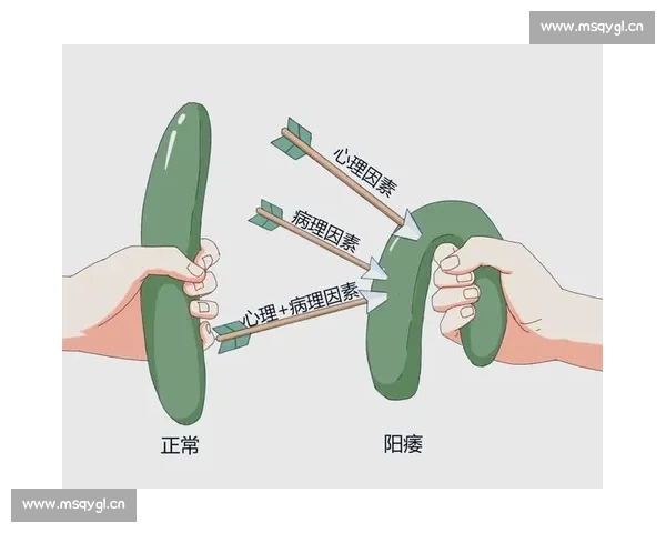 男性健康新趋势：男科领域最新研究与治疗方法全解析